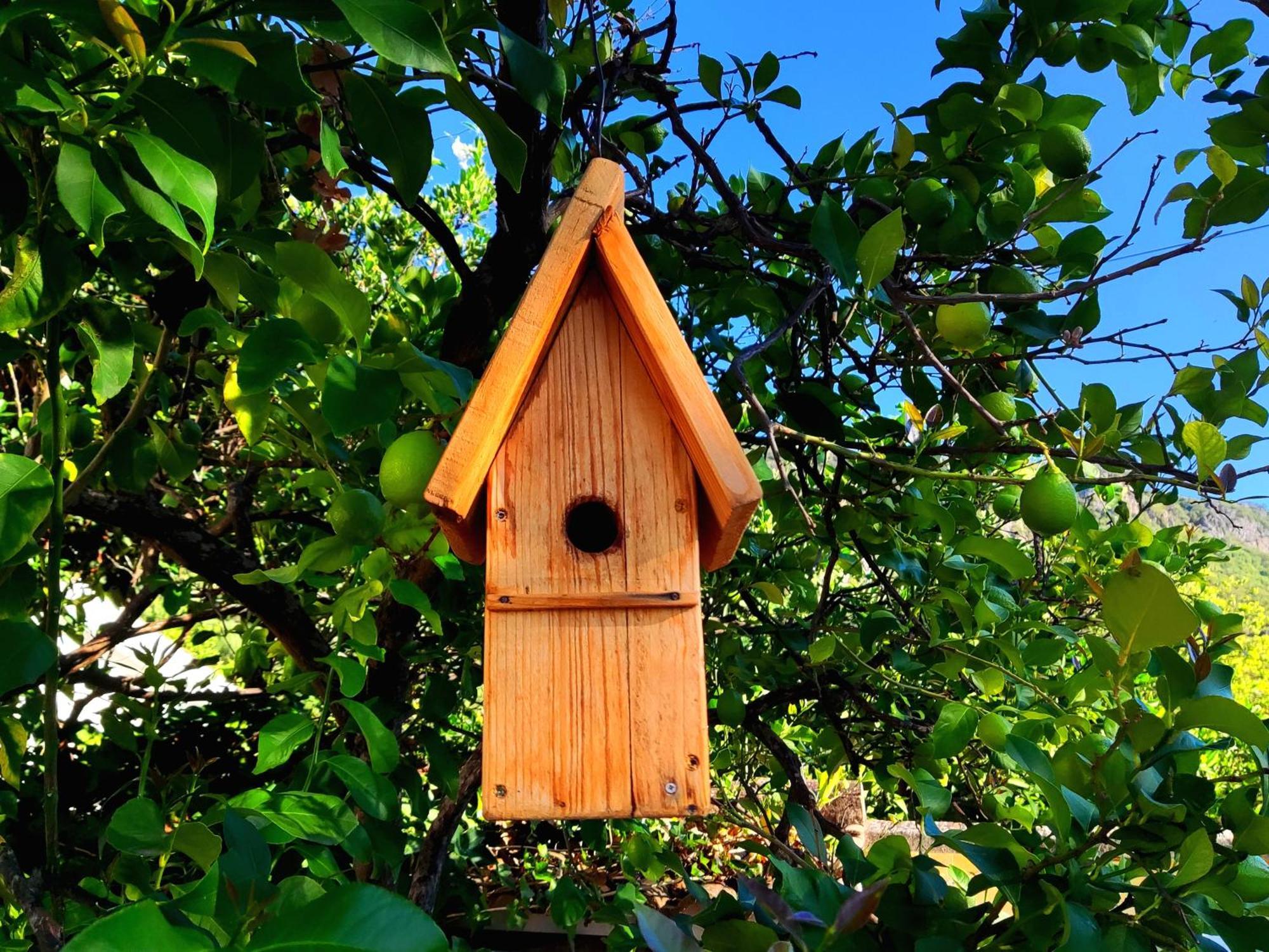 La Casa Del Naturalista Ел Боске Екстериор снимка